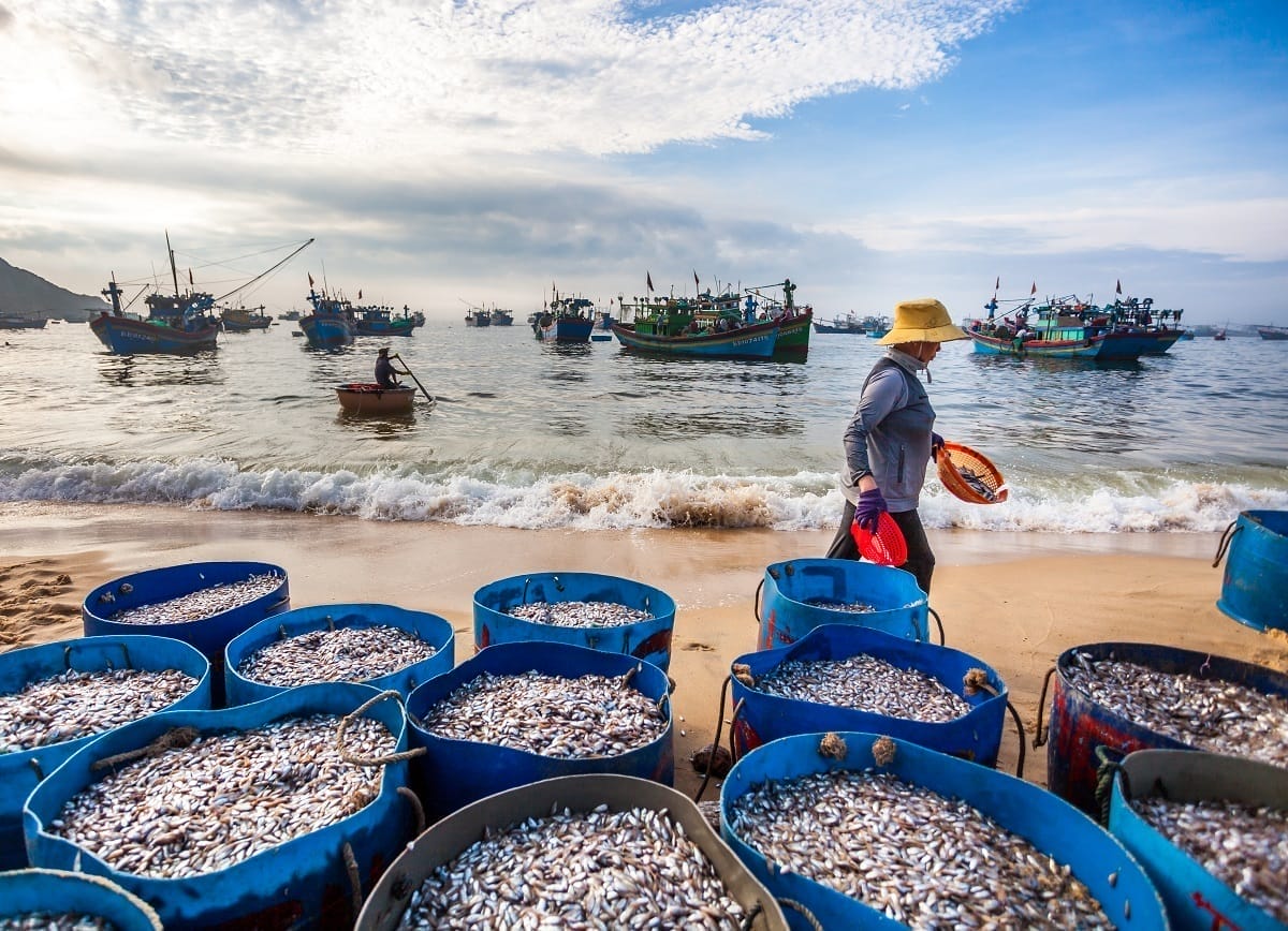 Chợ hải sản Đà Nẵng