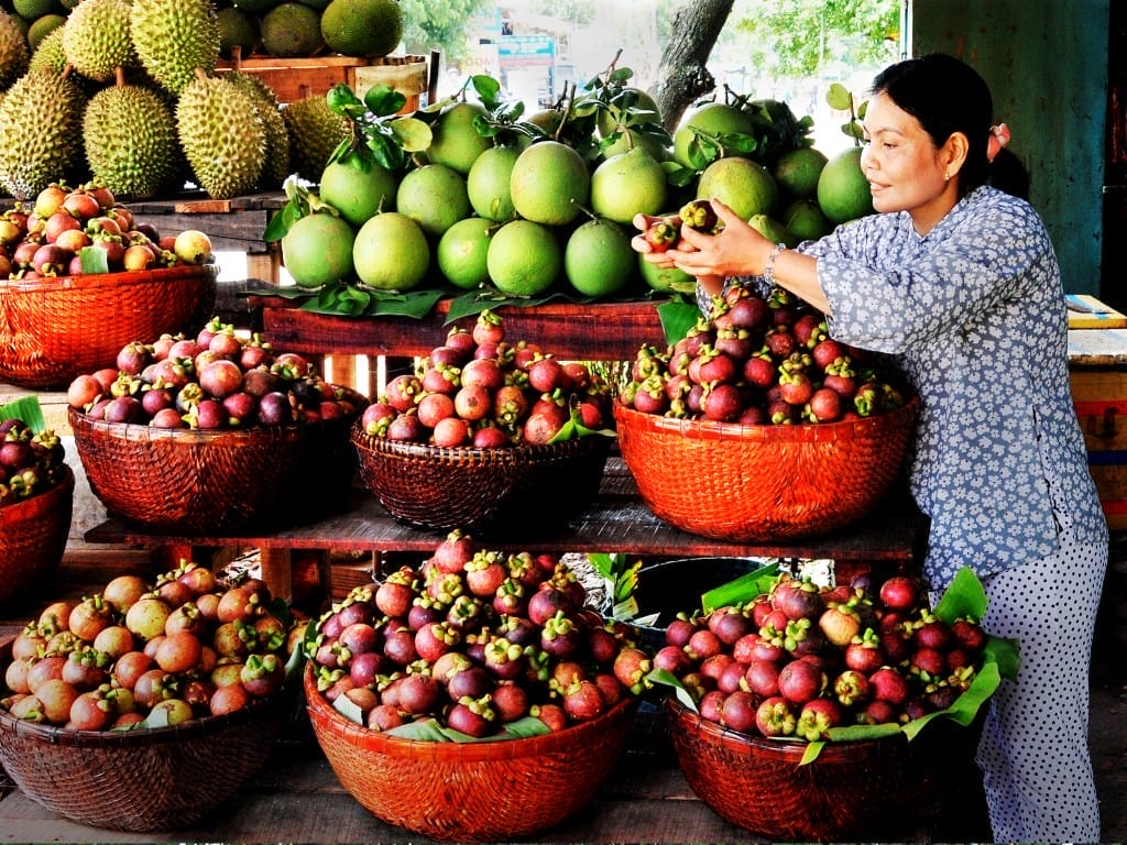 khu du lịch sinh thái Lái Thiêu Đà Nẵng