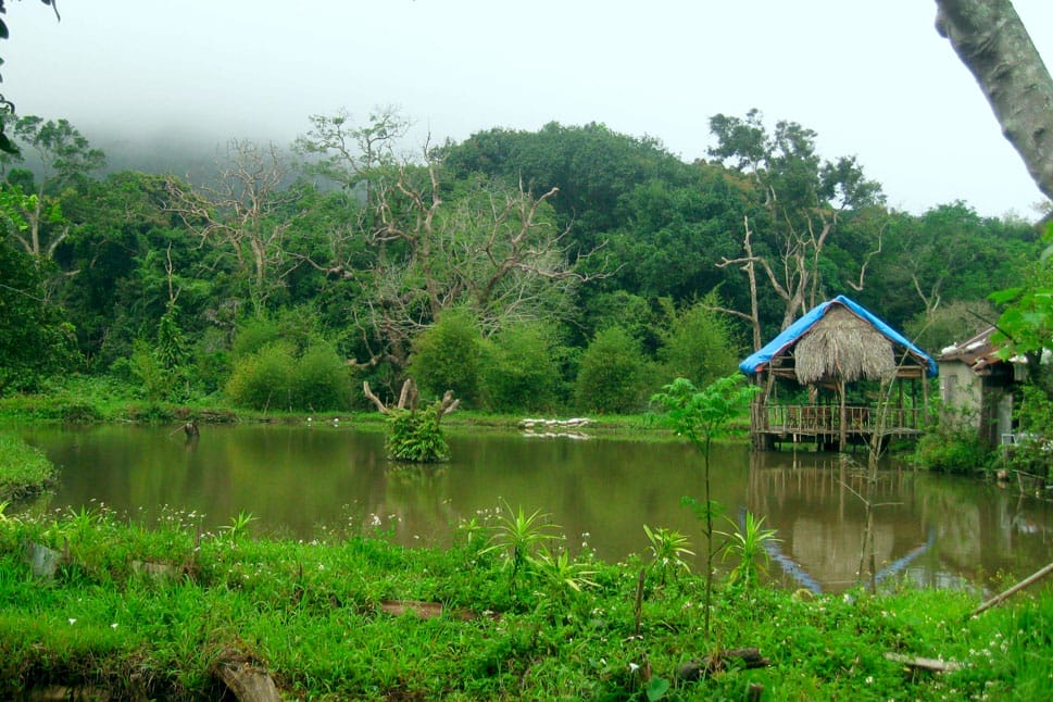 Đánh giá Nhất lâm thủy trang trà – Hoàng Sa, Thọ Quang, Bán đảo Sơn Trà