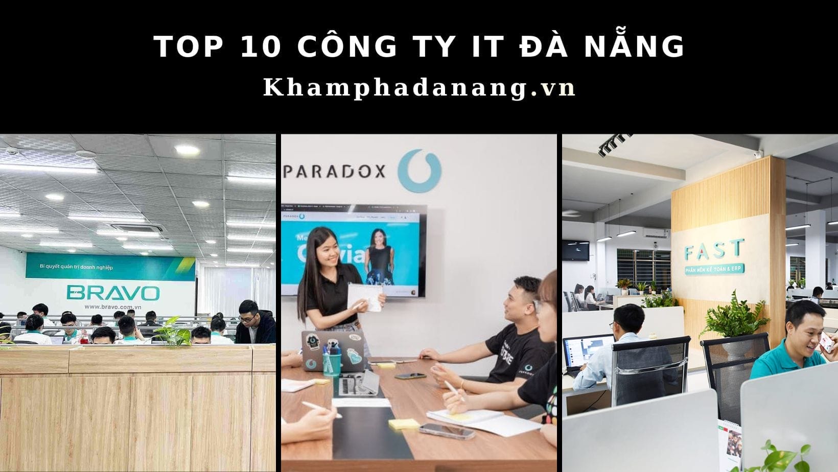 Top 8 địa điểm bán cá cảnh Đà Nẵng đẹp và uy tín 