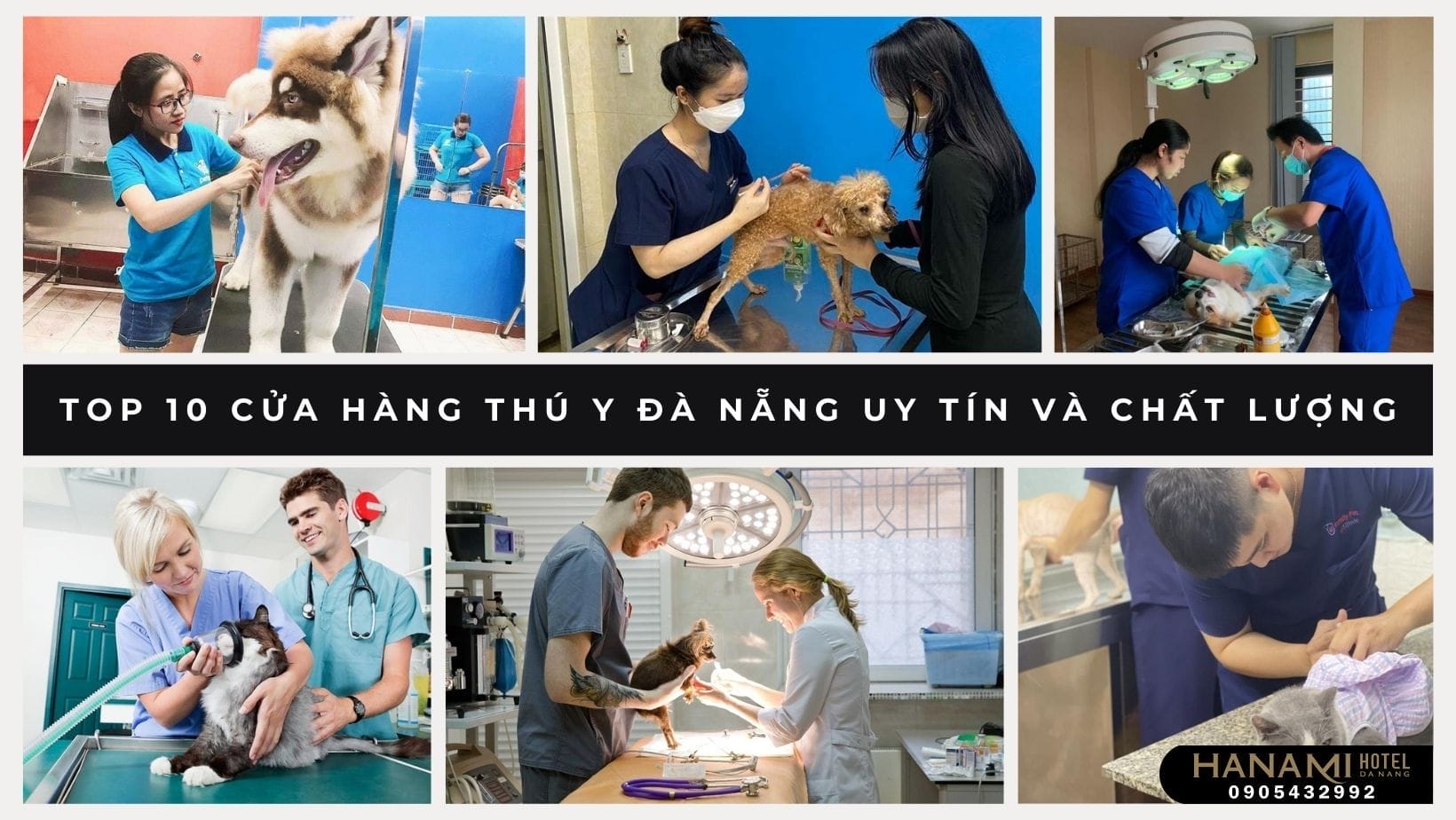 Top 10 Cửa Hàng Thú Y Đà Nẵng Uy Tín Và Chất Lượng