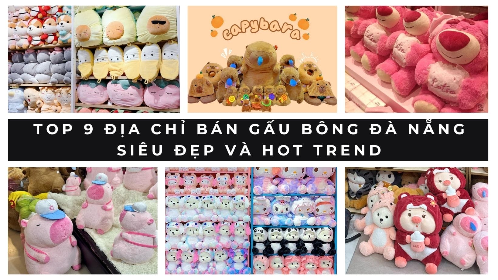 Top 6 cửa hàng cung cấp đồ phượt Đà Nẵng uy tín và đẹp