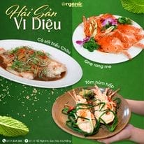 Đánh giá Organic Restaurant 07-09 Hồ Nghinh – Sơn Trà – Thành Phố Đà Nẵng