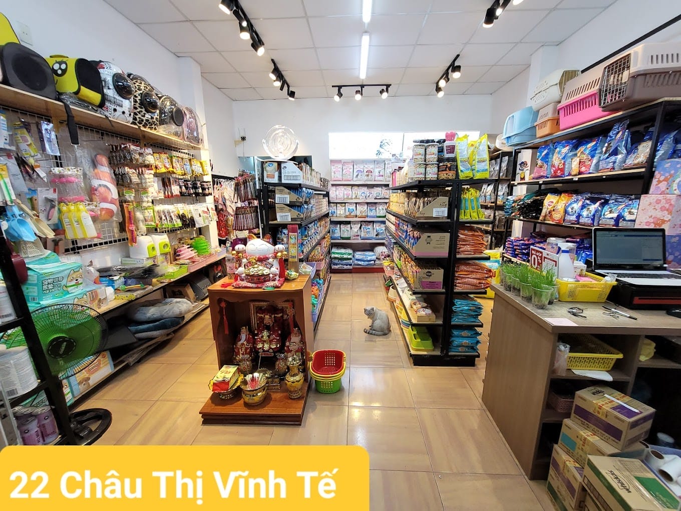 Shop thú cưng Đà Nẵng