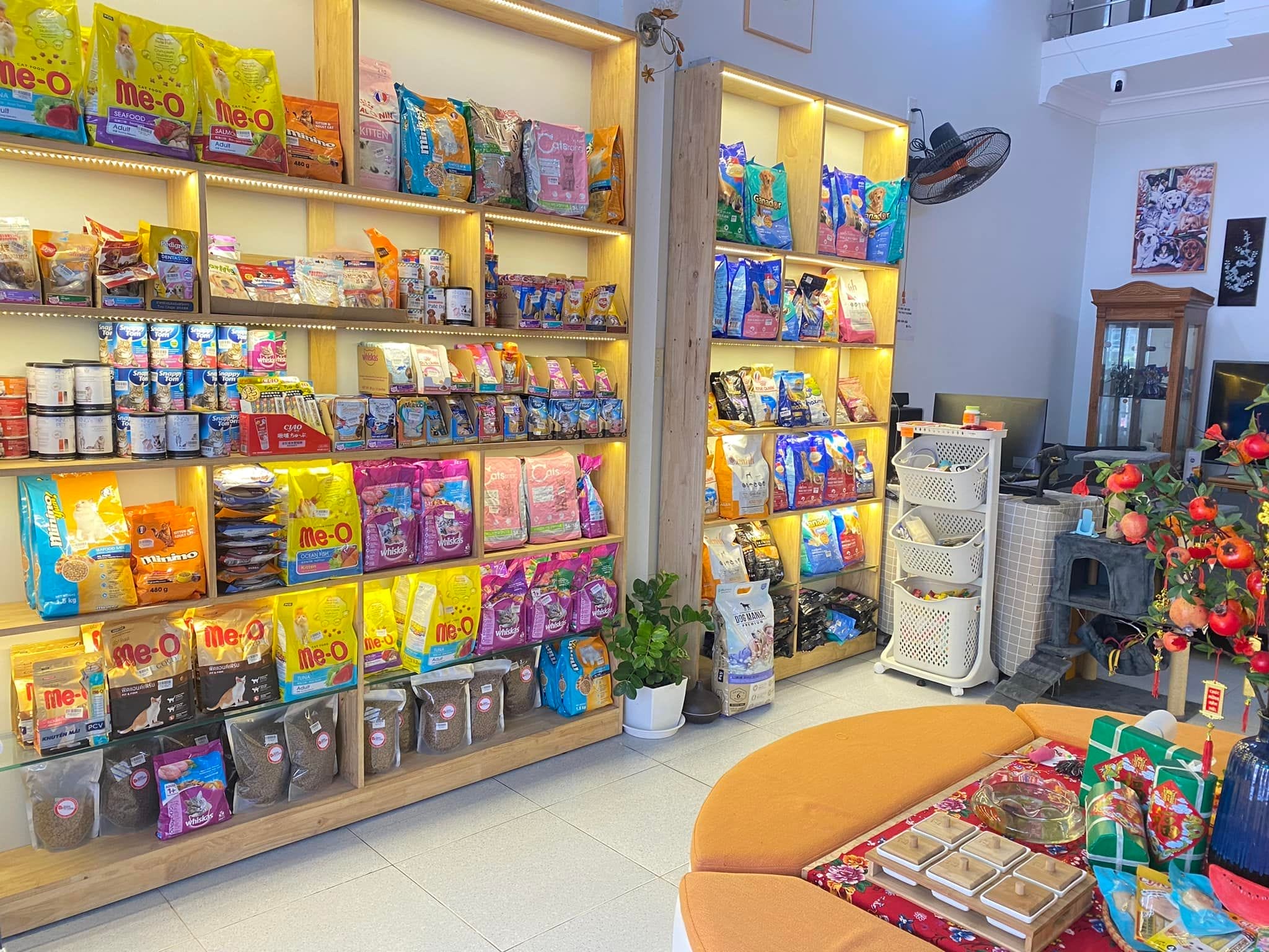 Shop thú cưng Đà Nẵng