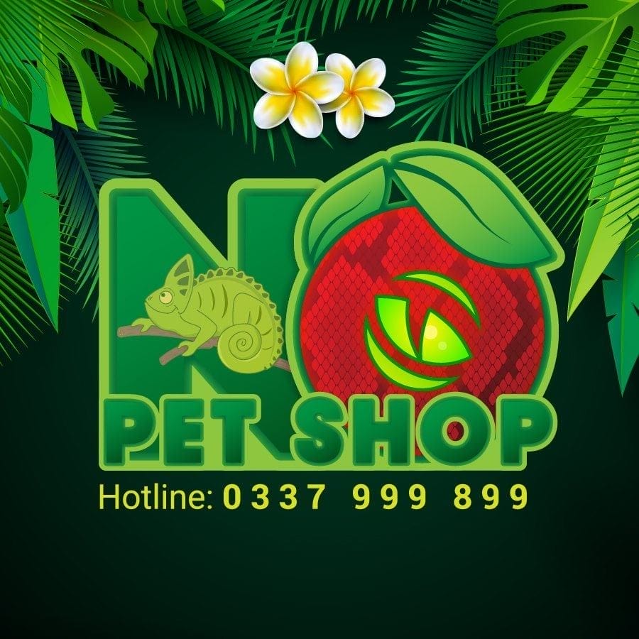 Shop thú cưng Đà Nẵng