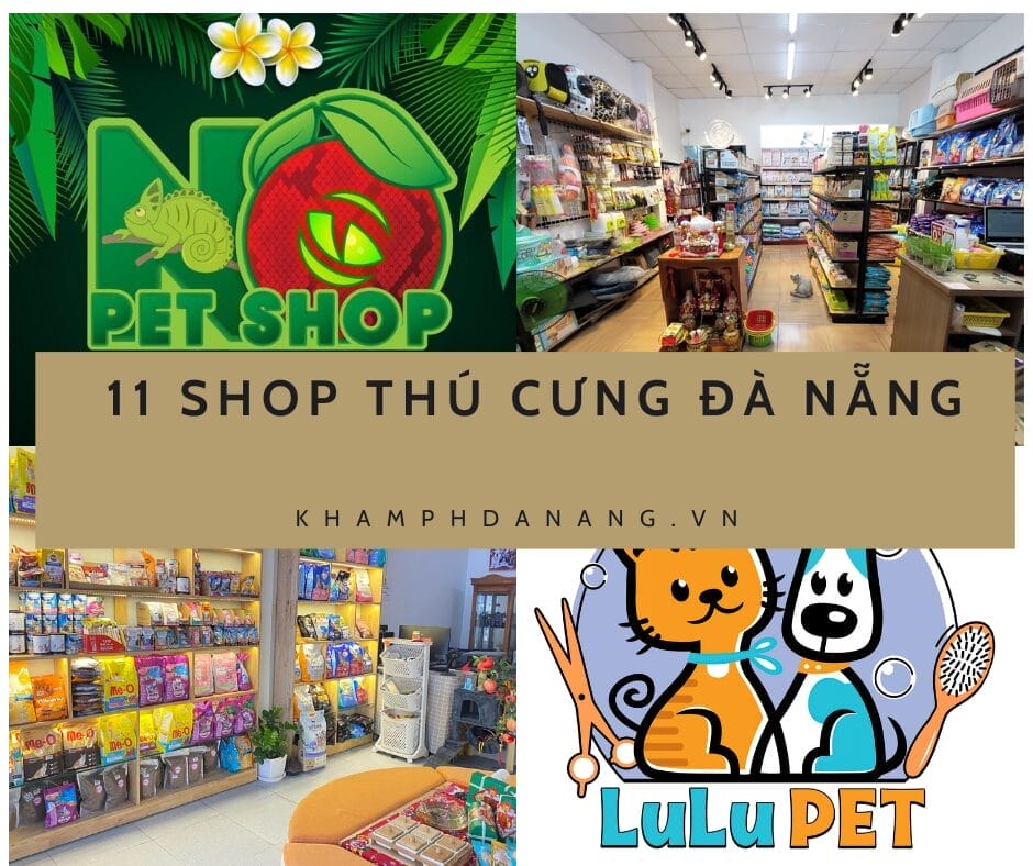 Phát hiện 11 shop thú cưng Đà Nẵng siêu chất lượng