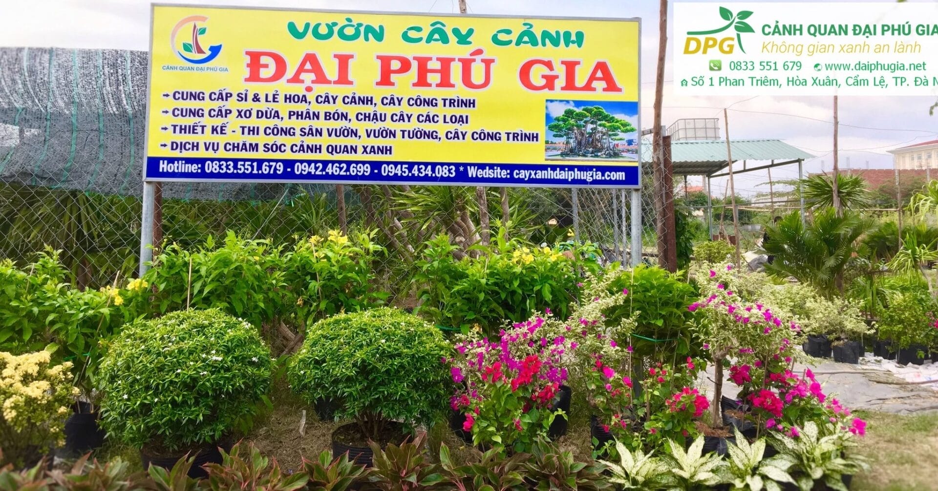 Vườn cây Đại Phú