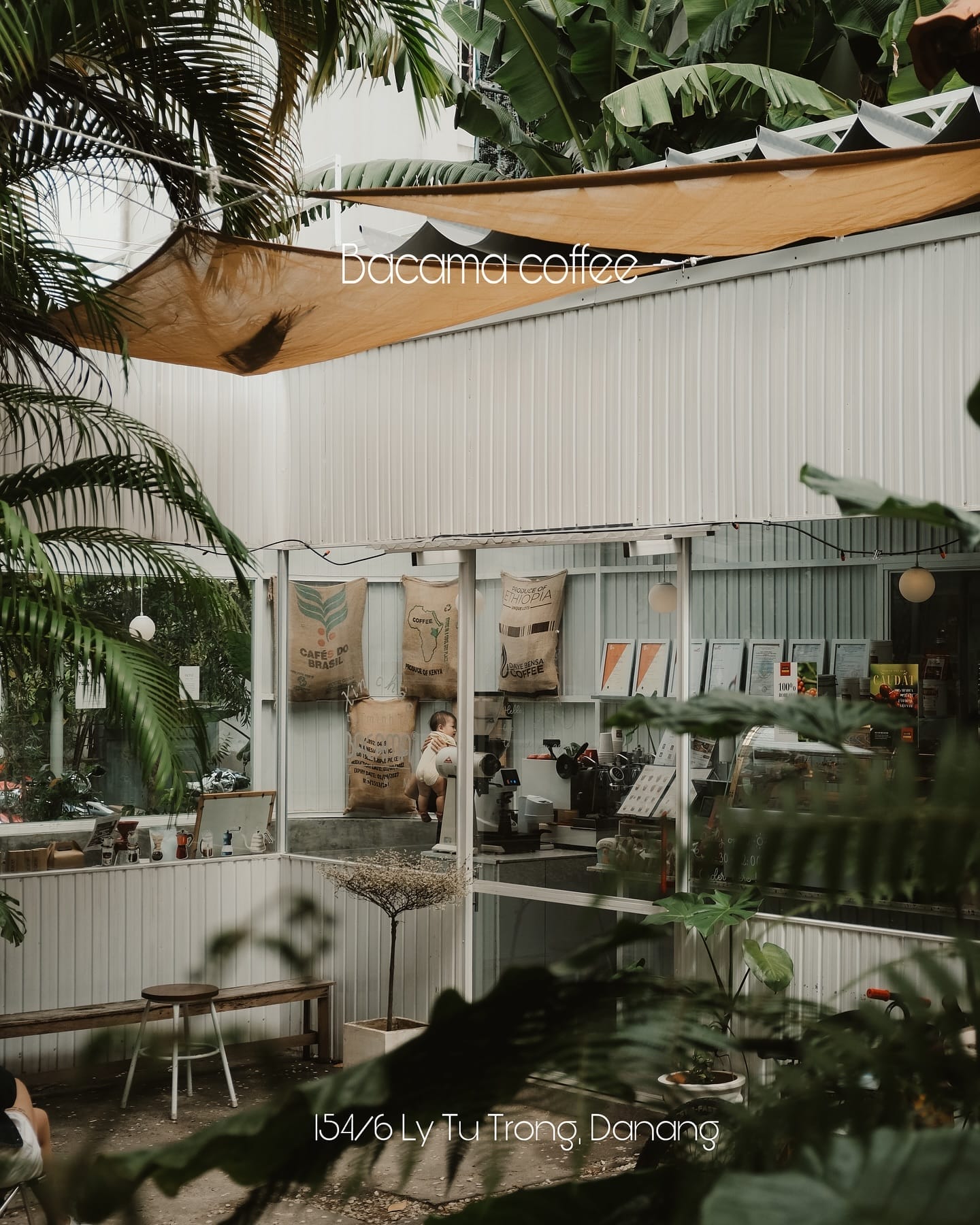 bacama coffee more