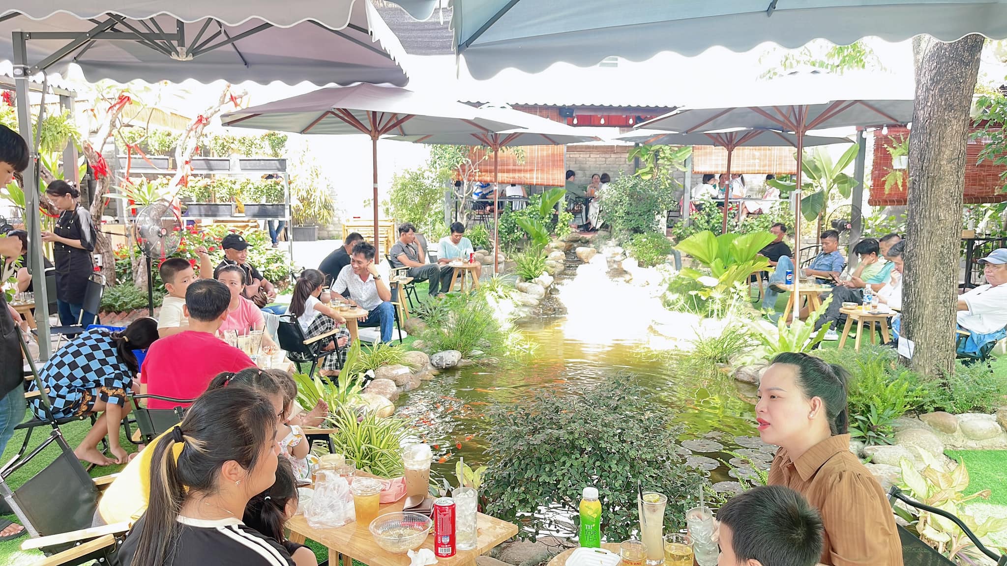 vuon xinh coffee