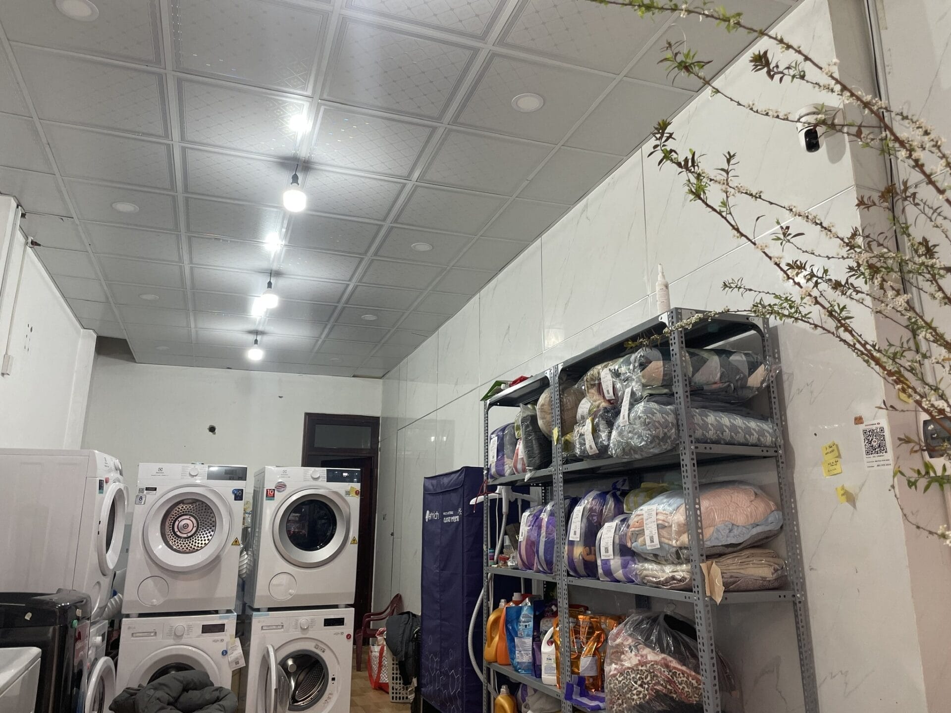 biti laundry