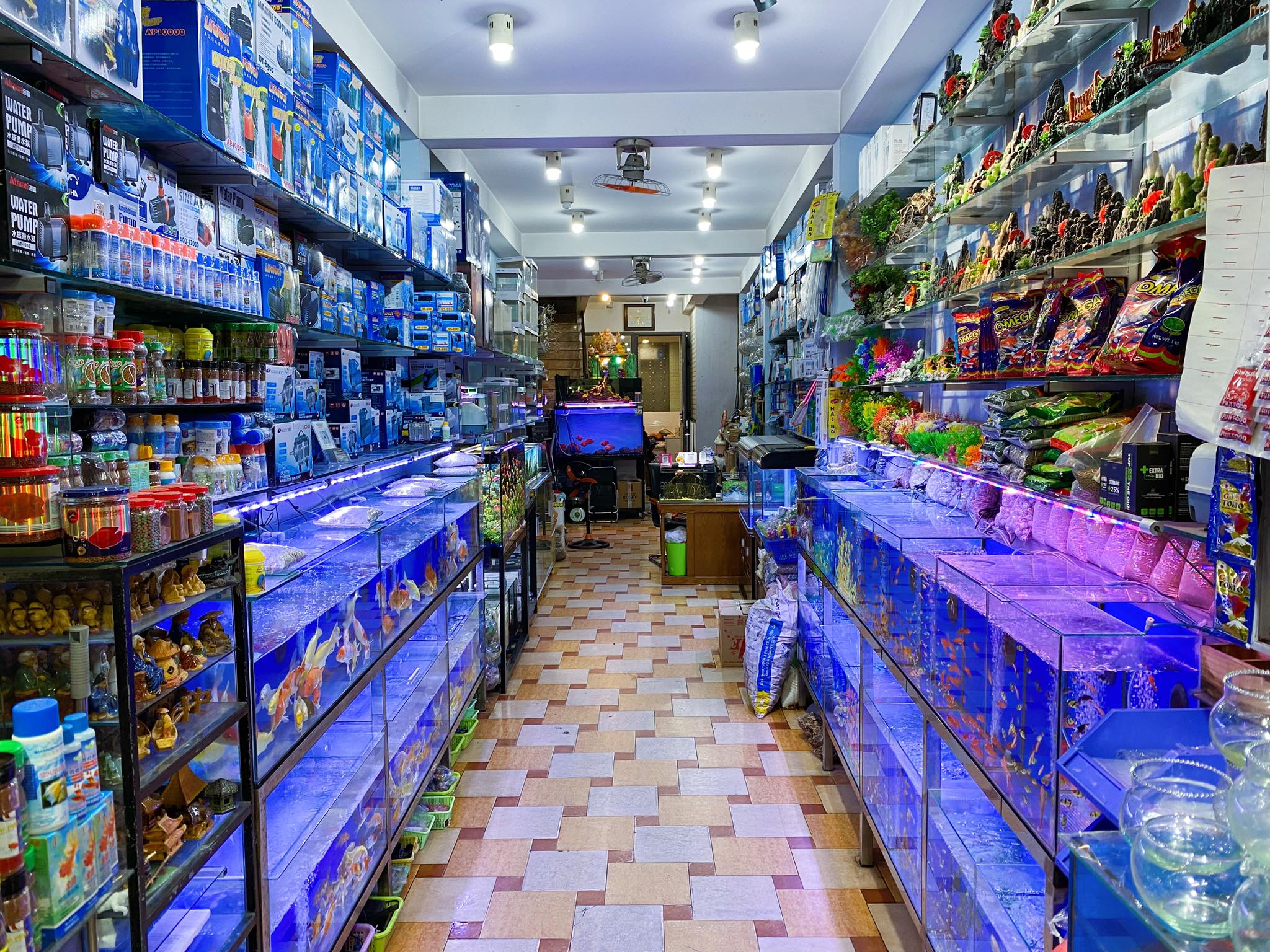 ca canh viet nhat