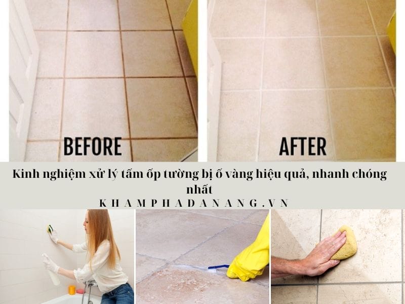 Lắp đặt trần nhựa chống ẩm: Giải pháp bảo vệ trần nhà trước ẩm mốc và mối mọt